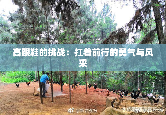 高跟鞋的挑战：扛着前行的勇气与风采