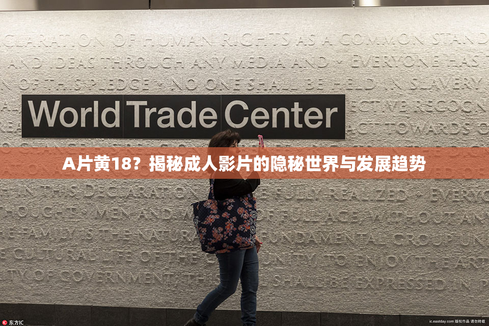 A片黄18？揭秘成人影片的隐秘世界与发展趋势