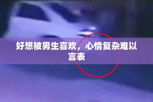 好想被男生喜欢，心情复杂难以言表
