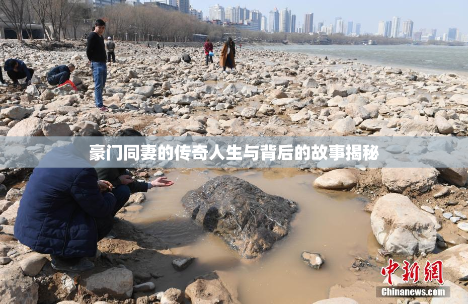 豪门同妻的传奇人生与背后的故事揭秘