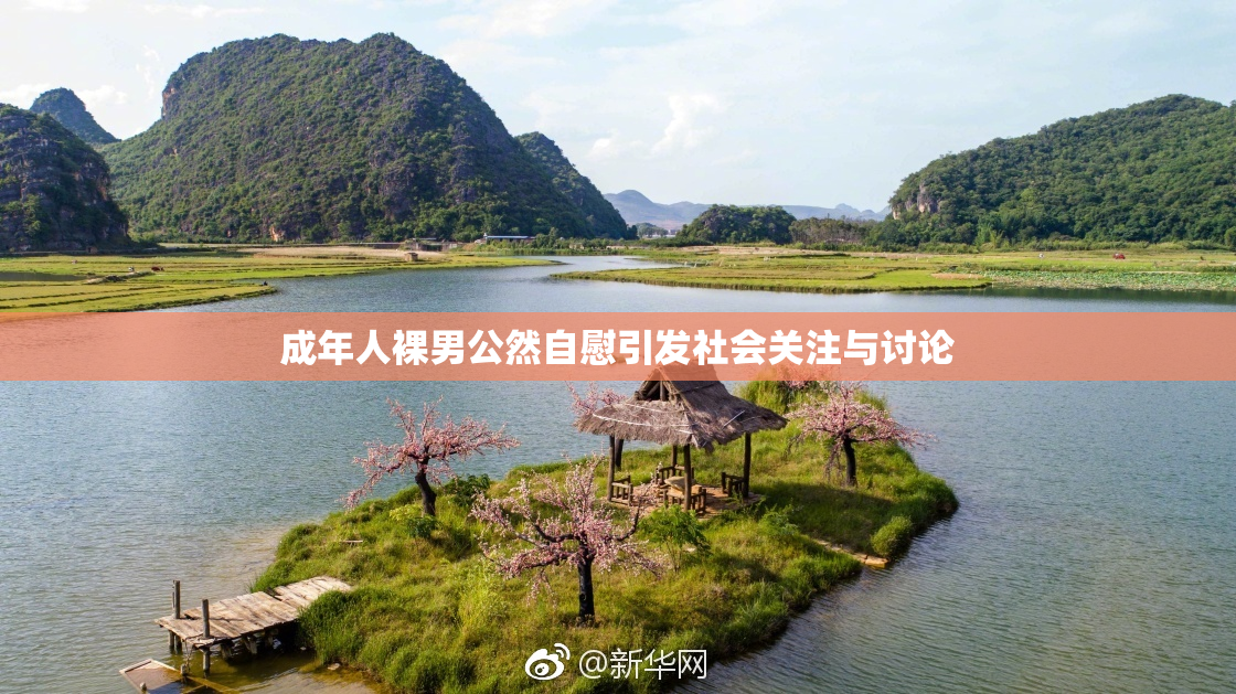 成年人裸男公然自慰引发社会关注与讨论