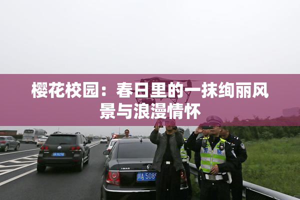 樱花校园：春日里的一抹绚丽风景与浪漫情怀