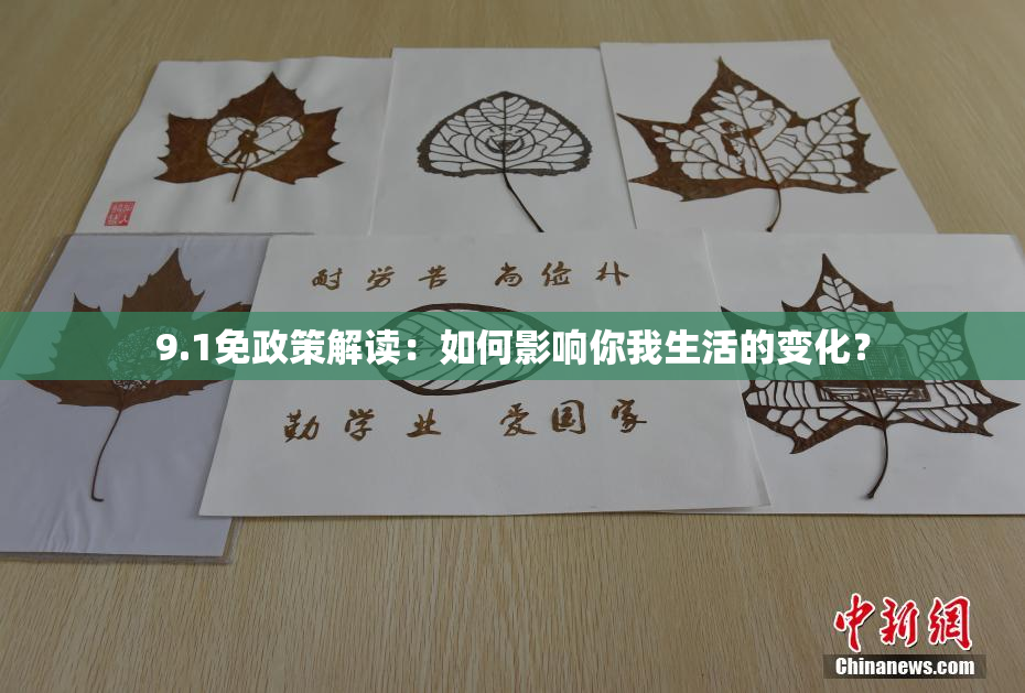 9.1免政策解读：如何影响你我生活的变化？