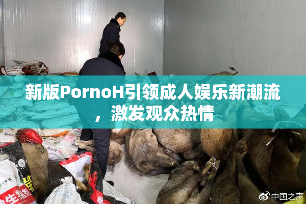 新版PornoH引领成人娱乐新潮流，激发观众热情