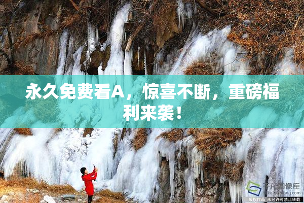 永久免费看A，惊喜不断，重磅福利来袭！