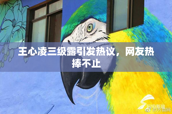 王心凌三级露引发热议，网友热捧不止