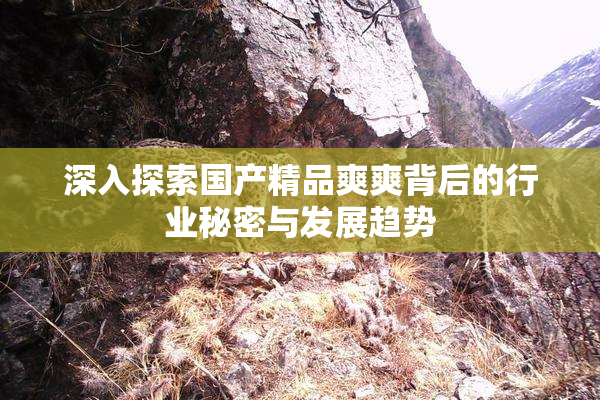 深入探索国产精品爽爽背后的行业秘密与发展趋势