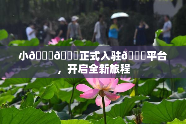 小🐔🐔正式入驻🍑平台，开启全新旅程