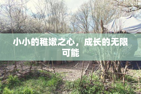 小小的稚嫩之心，成长的无限可能