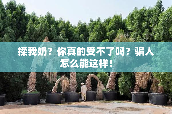 揉我奶？你真的受不了吗？骗人怎么能这样！
