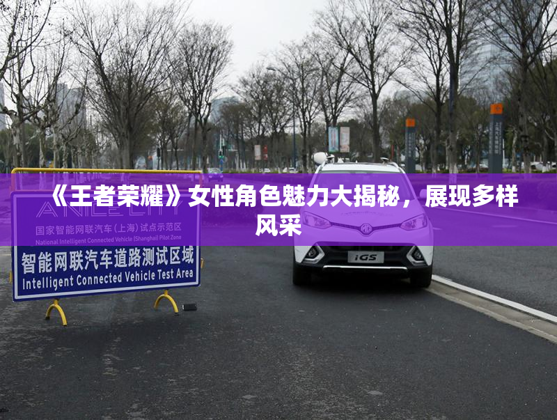 《王者荣耀》女性角色魅力大揭秘，展现多样风采