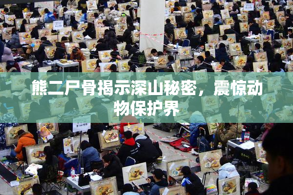 熊二尸骨揭示深山秘密，震惊动物保护界