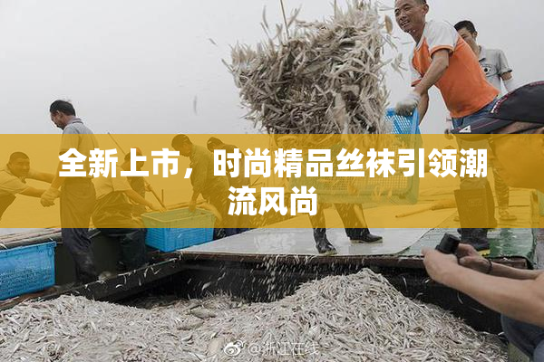 全新上市，时尚精品丝袜引领潮流风尚