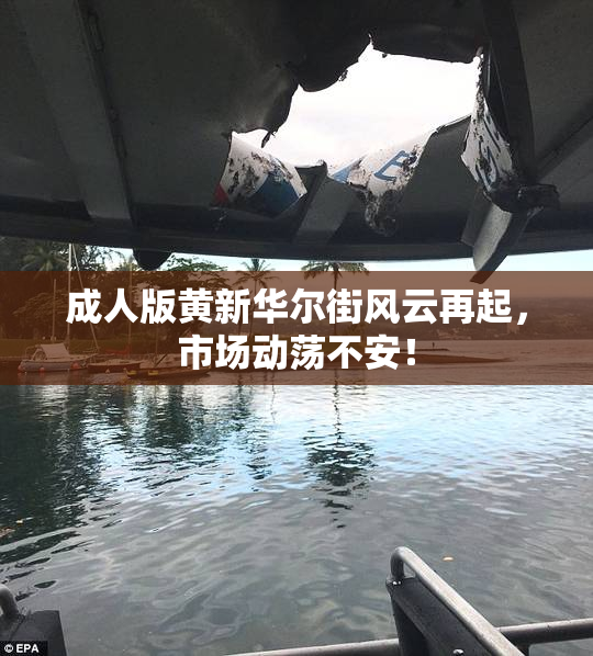 成人版黄新华尔街风云再起，市场动荡不安！