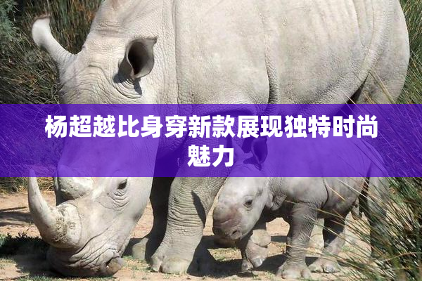 杨超越比身穿新款展现独特时尚魅力
