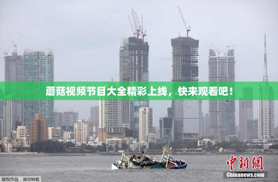 蘑菇视频节目大全精彩上线，快来观看吧！