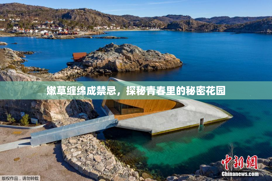 嫩草缠绵成禁忌，探秘青春里的秘密花园