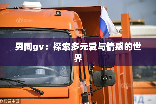 男同gv：探索多元爱与情感的世界