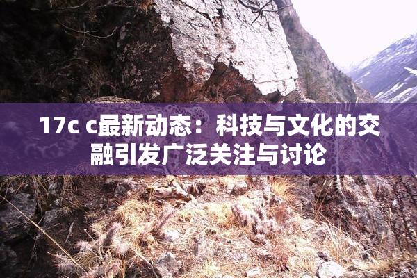 17c c最新动态：科技与文化的交融引发广泛关注与讨论