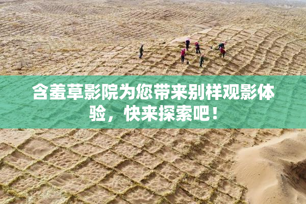含羞草影院为您带来别样观影体验，快来探索吧！