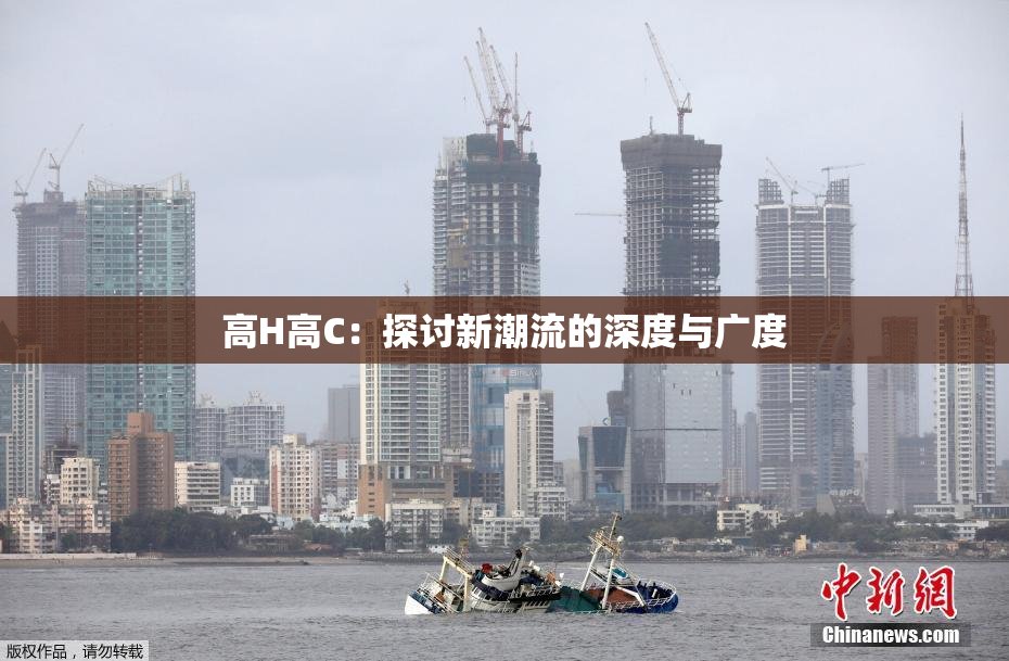 高H高C：探讨新潮流的深度与广度