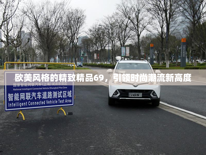 欧美风格的精致精品69，引领时尚潮流新高度