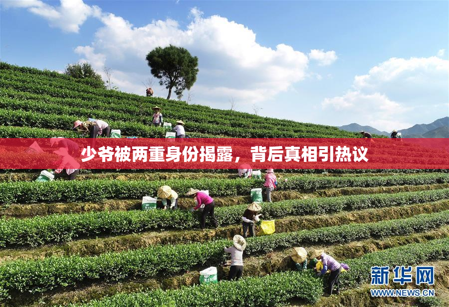 少爷被两重身份揭露，背后真相引热议