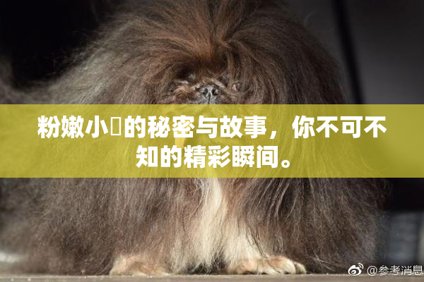 粉嫩小泬的秘密与故事，你不可不知的精彩瞬间。