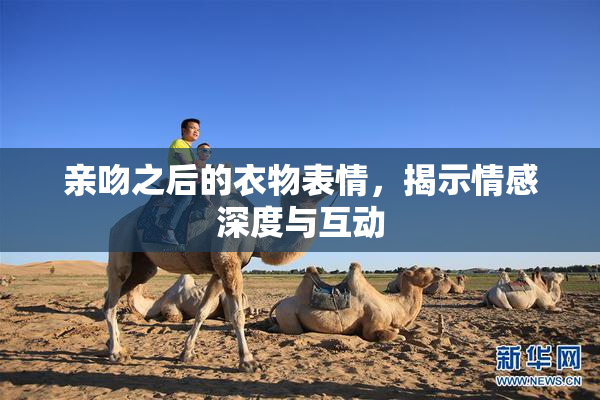 亲吻之后的衣物表情，揭示情感深度与互动