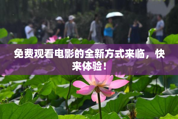 免费观看电影的全新方式来临，快来体验！