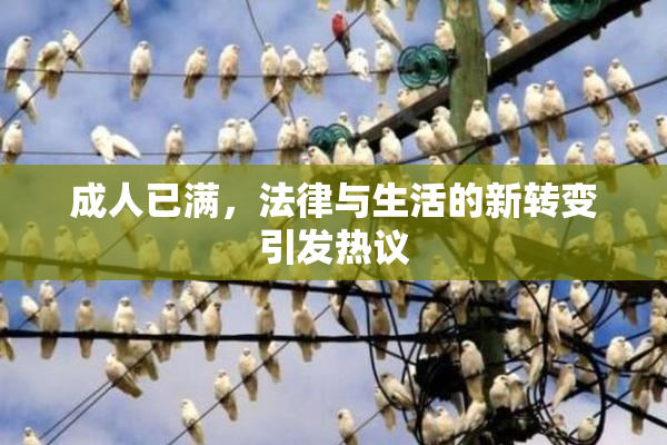 成人已满，法律与生活的新转变引发热议