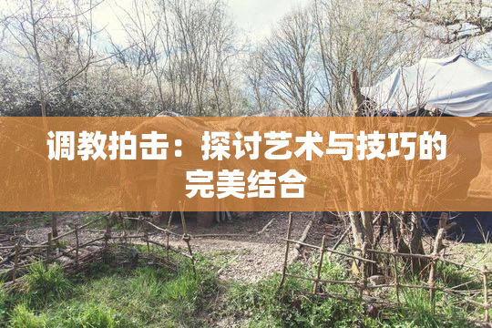 调教拍击：探讨艺术与技巧的完美结合