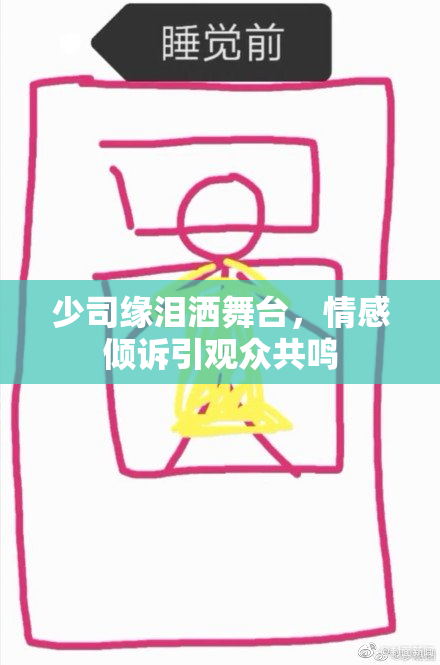 少司缘泪洒舞台，情感倾诉引观众共鸣