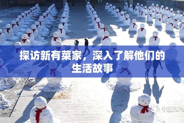 探访新有菜家，深入了解他们的生活故事