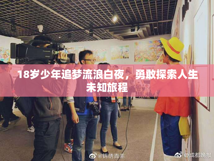 18岁少年追梦流浪白夜，勇敢探索人生未知旅程