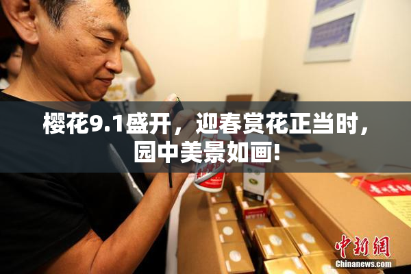 樱花9.1盛开，迎春赏花正当时，园中美景如画!