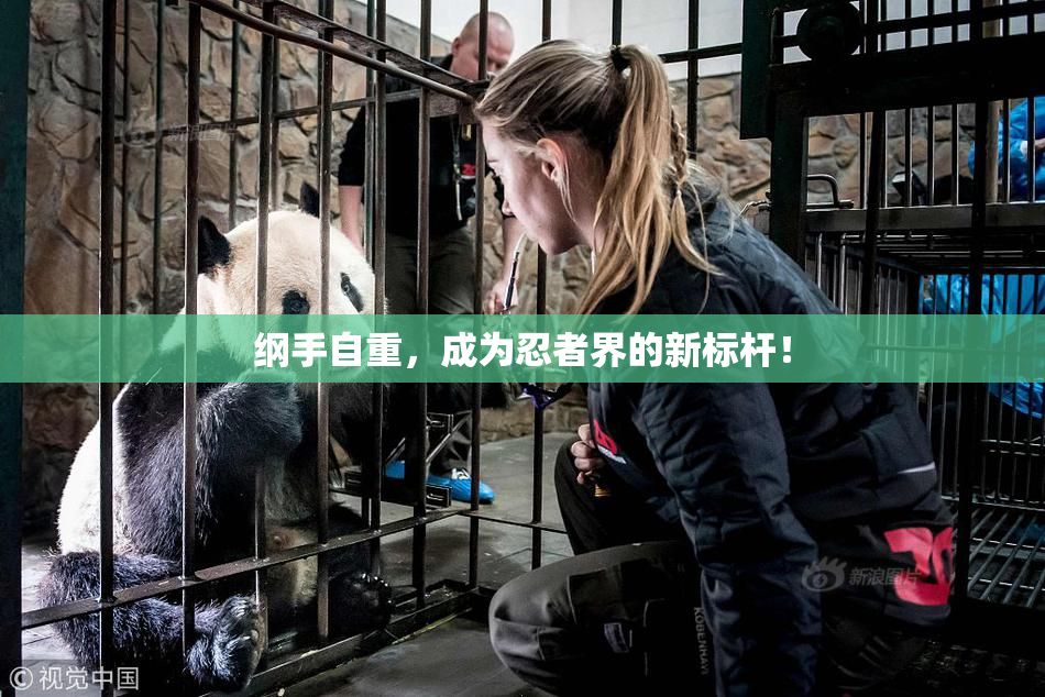 纲手自重，成为忍者界的新标杆！