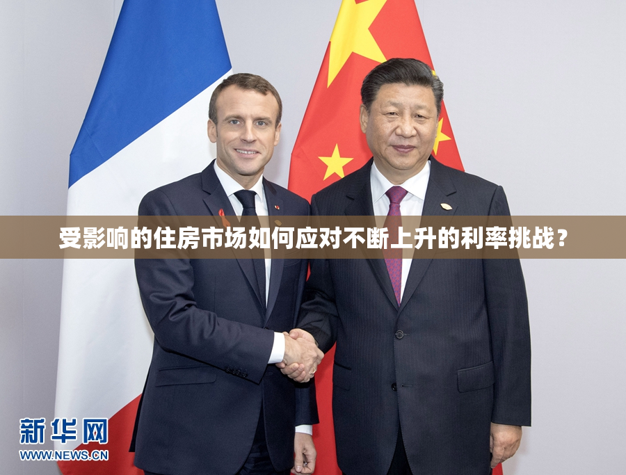 受影响的住房市场如何应对不断上升的利率挑战？