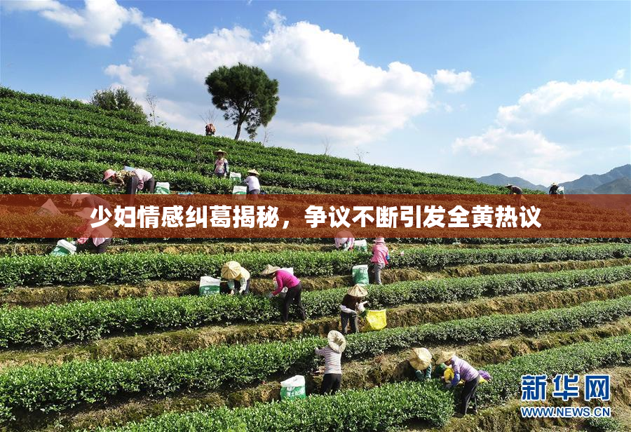 少妇情感纠葛揭秘，争议不断引发全黄热议