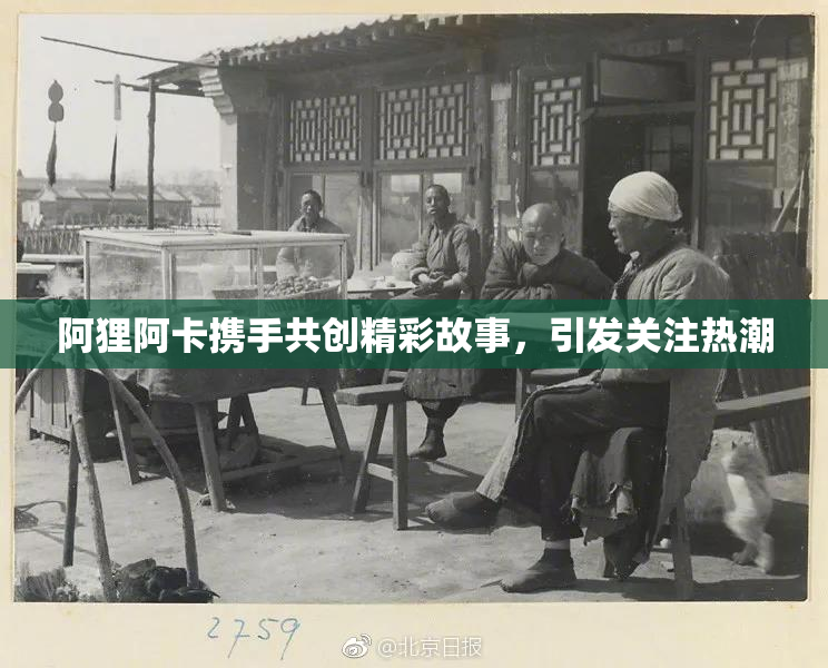 阿狸阿卡携手共创精彩故事，引发关注热潮