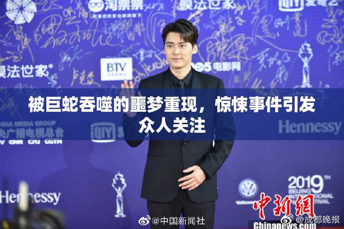 被巨蛇吞噬的噩梦重现，惊悚事件引发众人关注