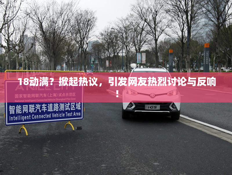 18动满？掀起热议，引发网友热烈讨论与反响！