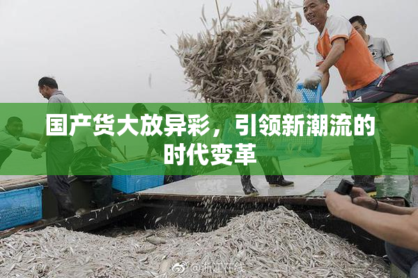 国产货大放异彩，引领新潮流的时代变革