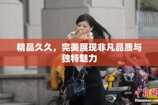 精品久久，完美展现非凡品质与独特魅力