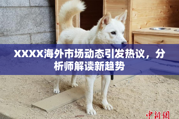XXXX海外市场动态引发热议，分析师解读新趋势