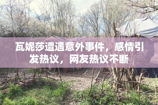瓦妮莎遭遇意外事件，感情引发热议，网友热议不断