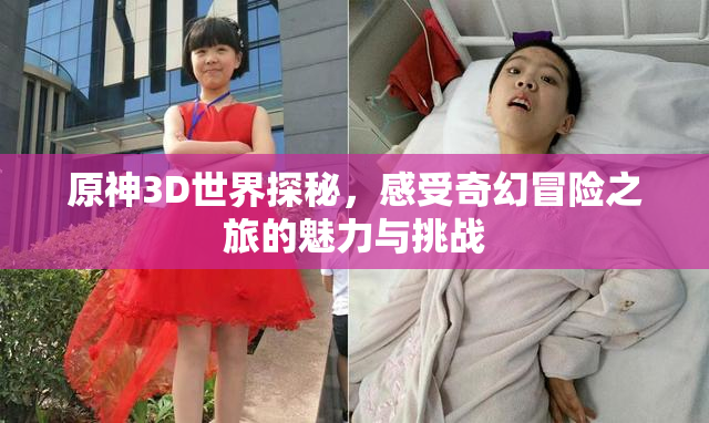 原神3D世界探秘，感受奇幻冒险之旅的魅力与挑战