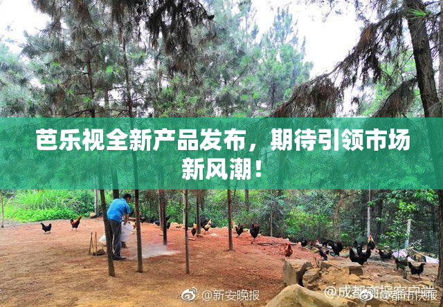 芭乐视全新产品发布，期待引领市场新风潮！