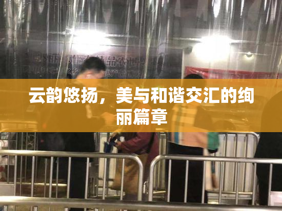 云韵悠扬，美与和谐交汇的绚丽篇章