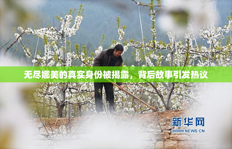 无尽娜美的真实身份被揭露，背后故事引发热议